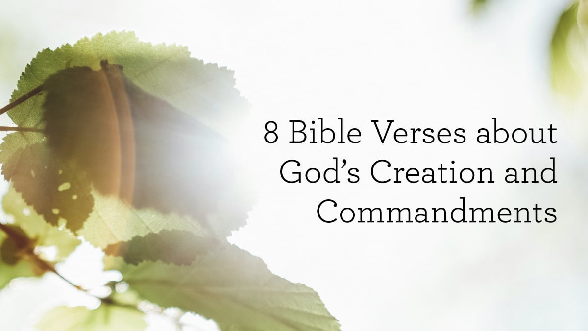 8 bible verses about god s creation and commandments